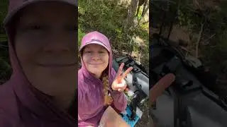 Day 7 returning to the PCT to finish my 90 miles I missed last year due to a forest fire. 