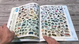 «Мой первый атлас мира с наклейками»