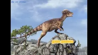 диво дивное (the isle evrima) пахи