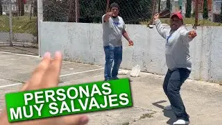 VIDA SALVAJE 10 (BROMA)