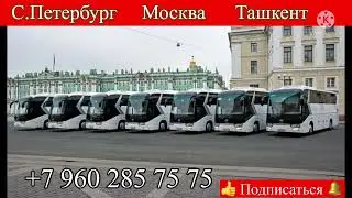 Москва Ташкент такси