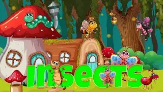 Insects Names for Kids in English - Insects names with pictures - Learn Insects Names