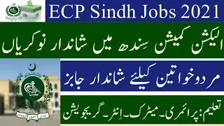 Election Commission Sindh Jobs 2021-ECP Jobs
