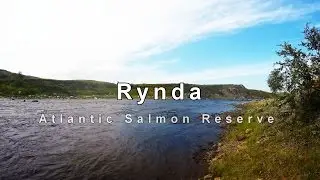 Salmon Fishing on the Fabulous Rynda River in Russia
