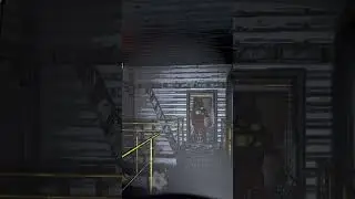 Midnight Gets Jump Scared by a Hoard Bug