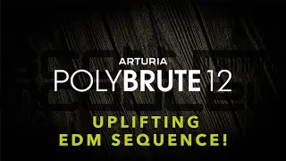 Arturia PolyBrute 12 - 64 Step Uplifting Dance Sequence