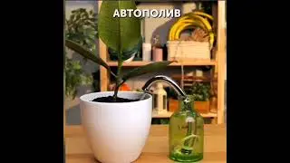 классные идеи для сада, огорода! #лайфхаки #садовод