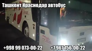 Автобус Ташкент Краснодар, Ташкент Краснодар автобус, автобус Ташкент Ростов-на-Дону, 