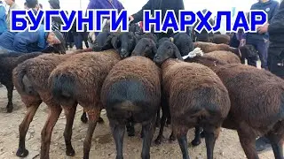 ONA BOLA SOVLIQ QUY NARXLARI QARSHI KARVON MOL BOZORIDA 27.11.2023