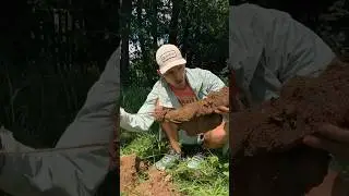 Раскопки / Нашел скелет руки с браслетом