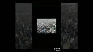кобра камаши
