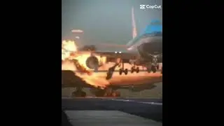 tenefire at disaster trend