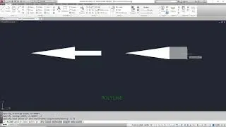 Polylines with widths