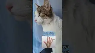 23 февраля 2024 г.