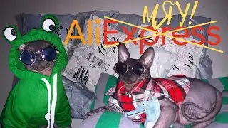 Распаковка Товаров для Животных с AliExpress