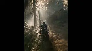 days gone