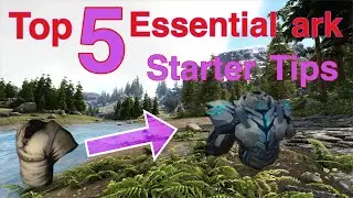 Top 5 ESSENTIAL ark starter tips!! - Ark Deep Dive
