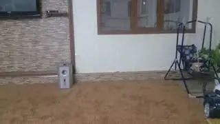 Нохчи