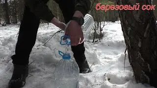 БЕРЁЗОВЫЙ СОК ПОШЁЛ! ХОТ-ДОГ НА КОСТРЕ ЧТО-ТО НЕ ЗАДАЛСЯ! всё из за пальца(концовка неудачные кадры)