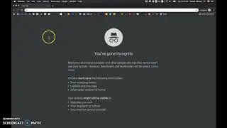 Level 1: Testing a Google Drive link's permissions