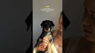 Лучший!!!