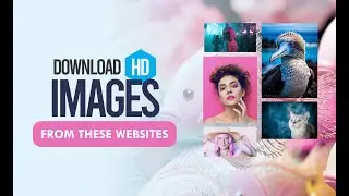 7 Websites To Download Free HD Images And PNG Icons