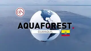 AquaForest: a blueprint for mangrove restoration