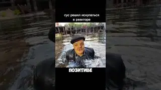 Супер сус и креосан #trending #chernobyl #чернобыль #radiation #shark