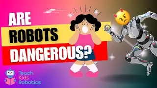 Are Robots Dangerous?