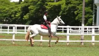 Lote 27 - À Venda 50% - Sabina do Marama.
