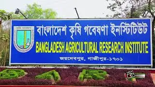 Inside BRRI_(Bangladesh Rice Research Institute)