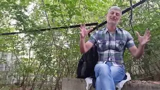 Как все начиналось.Про жизнь