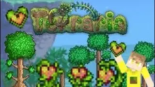 Terraria, Ищю Фрукт жизни! 