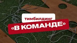 17 августа 2024 г.