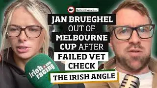 Weekly news round up + reaction to Jan Brueghel's Melbourne Cup scratching | The Irish Angle