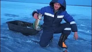 Рыбалка. Щука На Жерлицы. Здорово Время Провели. Озеро Тептярги. Челябинская область