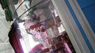 Вот так на Комаровке (Минск),  голымируками  ложат вам сало!! А если я его сырым хочу поесть?!?!
