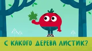 С какого дерева листик? 🌿 | Серии-обучалки | ВОЛШЕБНЫЙ САДИК