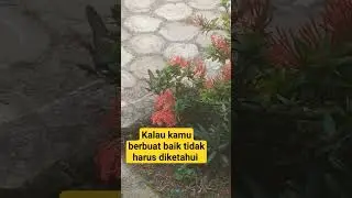 Harus berbuat baik tanpa liat status ya...
