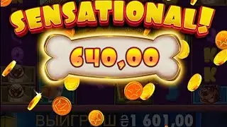 ЗАНОС Недели 🤑🤑 Dog House 1700X