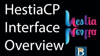 HestiaCP Interface  - Hestia CP Dashboard Overview - VestaCP alternative - Hestia review