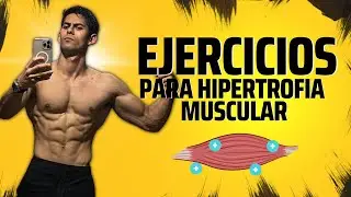 EXERCISES FOR MUSCLE HYPERTROPHY