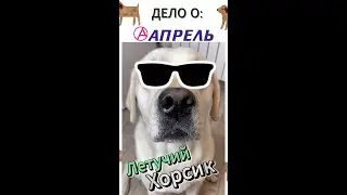 Летучий Хорсик. Дело о: Аптека Апрель