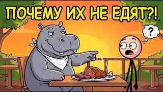 Why Don't We Eat Hippos? (The 1910 Meat Conspiracy)
