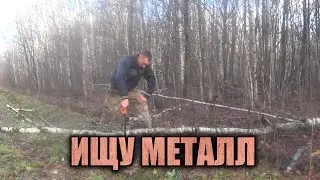 ИЩУ МЕТАЛЛ В ЛЕСУ. ПРОБИРАЮСЬ ГЛУБЖЕ И БЛИЖЕ К ДЕЛЯНКАМ.