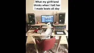 #ableton