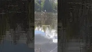 природа, озеро и рыбалка #рыбалка #отдых #природа_россии