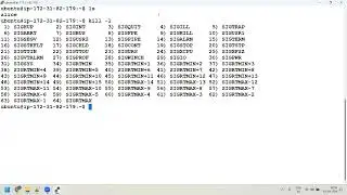 Devops-cloud-Batch-01 || 10thAug2024 || Weekend-Morning || Signals || Networking based commands