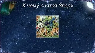 К чему снятся Звери (Сонник)