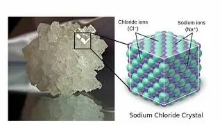National Science Day 2024 Talk: Observing atomic picture of molecules through crystals